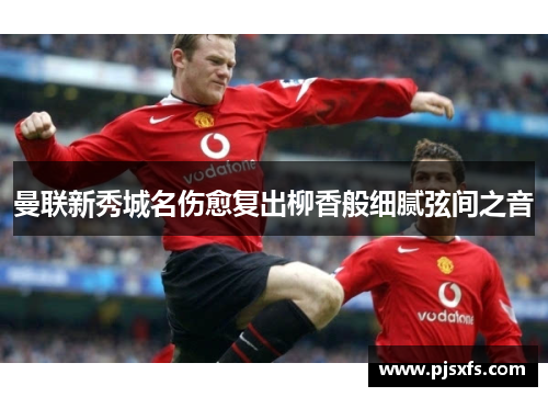 曼联新秀城名伤愈复出柳香般细腻弦间之音