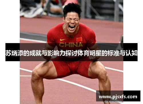 苏炳添的成就与影响力探讨体育明星的标准与认知