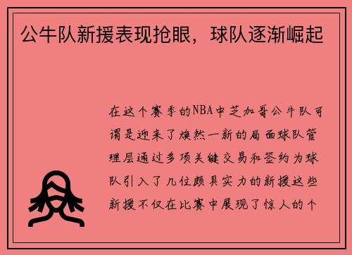 公牛队新援表现抢眼，球队逐渐崛起